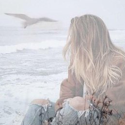 ���� ��������, ���������, 40 ��� - ��������� 15 ����� 2026