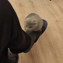 ���� �����, ���������, 53 ���� - ��������� 28 ������ 2026
