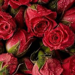 �����, �������, 57 ���