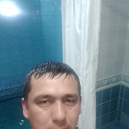 , 37,  