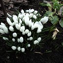 ���� ���������, ��������� - ��������� 30 ����� 2025 � ������ ���� ����������