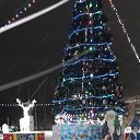 ���� ���������, ���, 71 ��� - ��������� 16 ������ 2024 � ������ ���� ����������