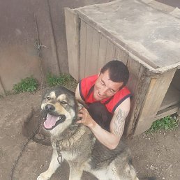 ���������, ���������, 43 ����