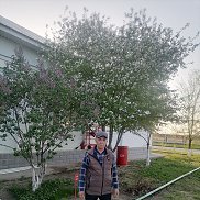 �����, 63 ����, ���������