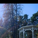 ���� ����, ����������, 49 ��� - ��������� 2 ������ 2025 � ������ ���� ����������