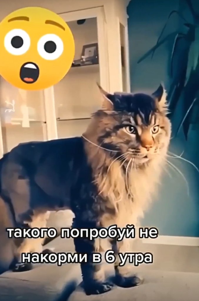 Рецепты - 18 сентября 2025 в 14:11