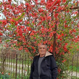 , 49, 
