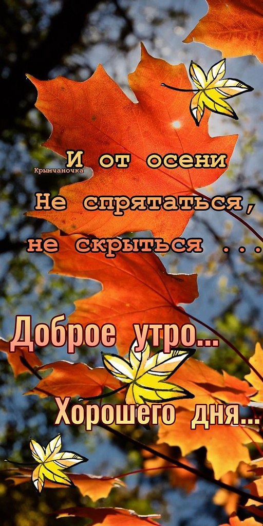   - 1  2025  09:09