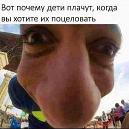�����, ������, 41 ���
