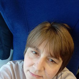 , 41, 