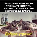 ���� ������, �������� - ��������� 8 ������� 2026 � ������ ������ ��������