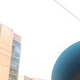 ����, ������, 38 ���