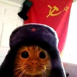 �����, ������ ��������, 33 ����