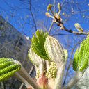 ���� ����������, �������, 43 ���� - ��������� 10 ����� 2025 � ������ ���� ����������