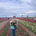 ���� ����, �����������, 65 ��� - ��������� 12 ��� 2025 � ������ ���� ����������