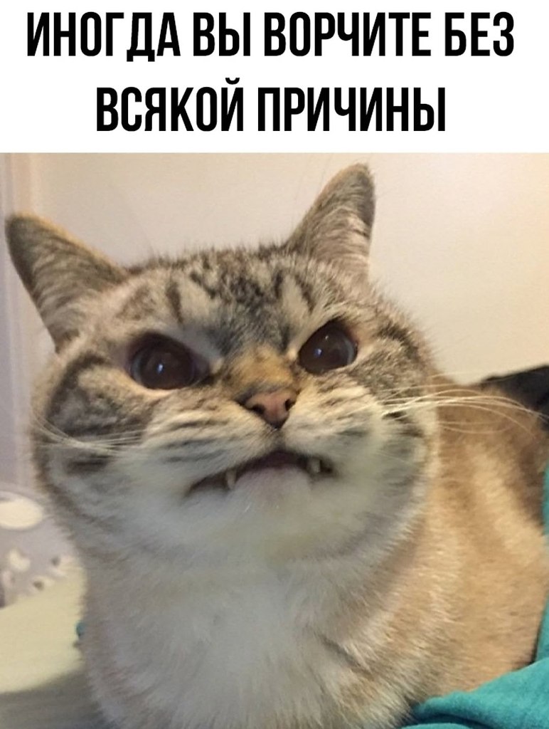  ... - 29  2025  08:14 - 3