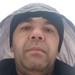 �����, ������, 40 ���