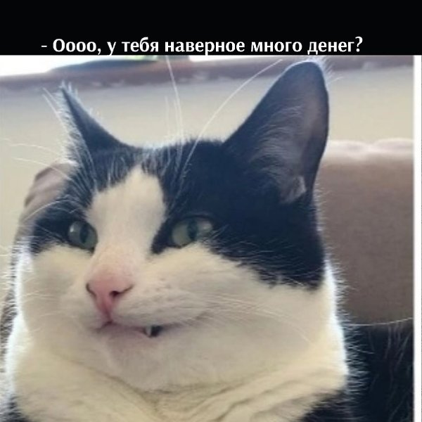 =�> - 3