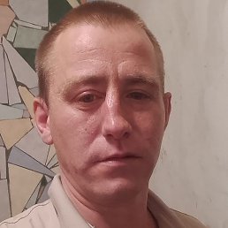 ������, �����������, 33 ����