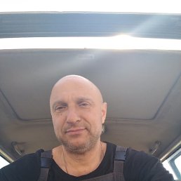 , 53,  