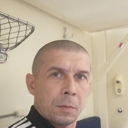 ���� ��������, ���������, 42 ���� - ��������� 13 �������� 2026
