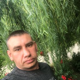 , 38, 
