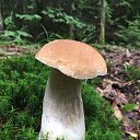 ���� ����, �����������, 67 ��� - ��������� 5 ������� 2024 � ������ ���� ����������