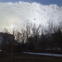 ���� ���, �������, 33 ���� - ��������� 31 ����� 2026 � ������ ������ ��������