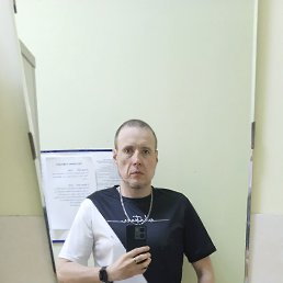 ���� �������, �����-���������, 43 ���� - ��������� 8 ������� 2026