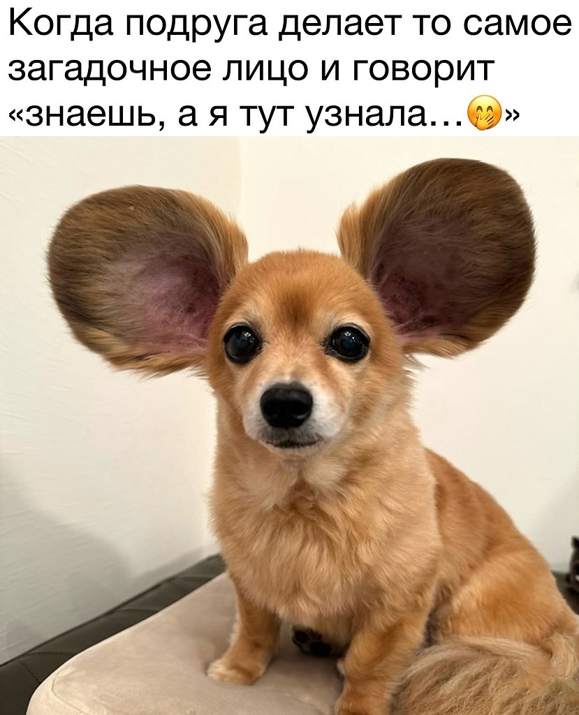    - 6  2025  12:55