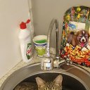 ���� Valerij*****, ���������, 63 ���� - ��������� 8 ������ 2024 � ������ ���� ����������