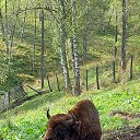 ���� ���, �����, 60 ��� - ��������� 8 ������ 2025 � ������ ������-������� �������� 2025. ��� 60 ���.�