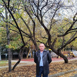 ���� ������, ������, 44 ���� - ��������� 22 ������� 2023