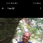 , 49 , 