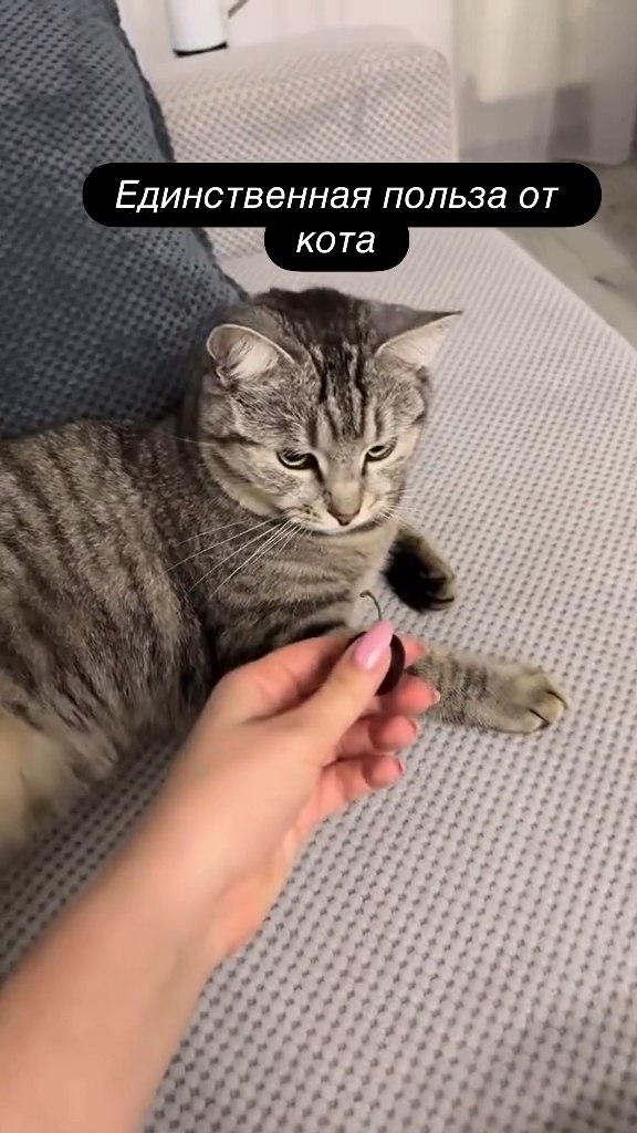   ,     !)