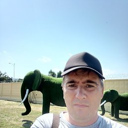 ������, ���������, 47 ���