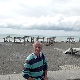 , 66, 