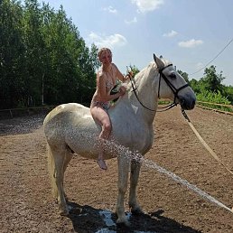 ���� �����, ������ ��������, 49 ��� - ��������� 13 ������� 2025