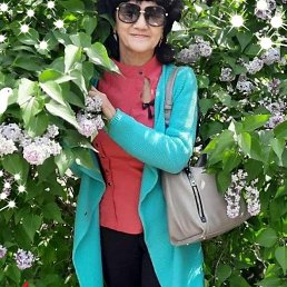 ���� �����, ������, 64 ���� - ��������� 28 ������� 2023