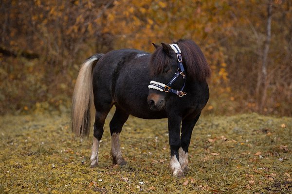  -   ! - 17  2025  17:53