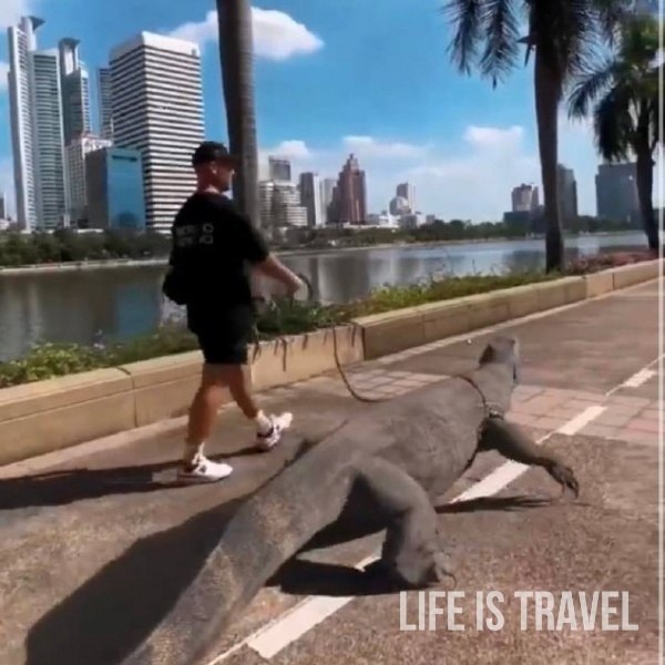 �������� � �������� ��������