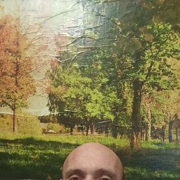 ����, 44 ����, ������