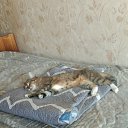���� �������, ������, 46 ��� - ��������� 9 ������� 2025 � ������ ������ ��������