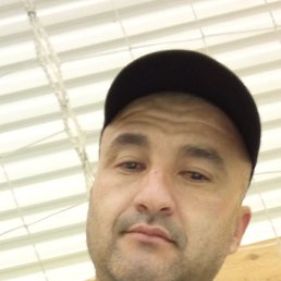 , 41, 