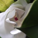 ���� �����, ���������, 38 ��� - ��������� 31 ������� 2024 � ������ ���� ����������