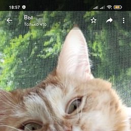 ���� ���������, ������, 48 ��� - ��������� 30 ������� 2023