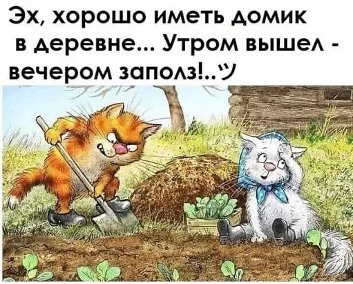  - 29  2025  08:43