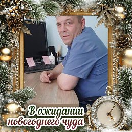, 41 , 
