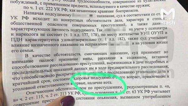 В России впервые кот стал смягчающим обстоятельством для преступника и спас его от тюрьмы. Мужик из ...