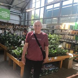 ������, ������, 81 ���